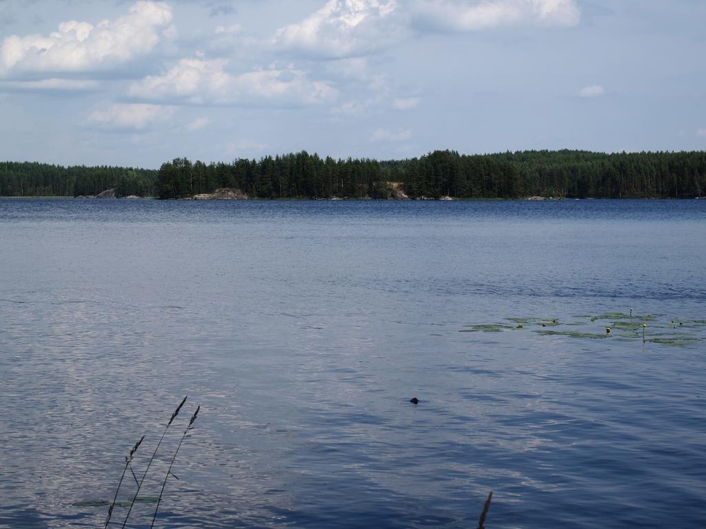 Casa vacanze Kuoreksenniemi & Lakehouse