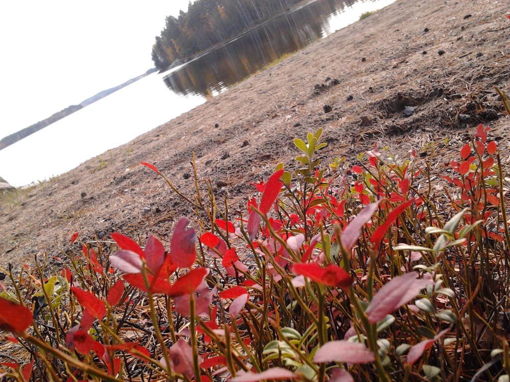 Hébergement de vacances Kuoreksenniemi & Lakehouse Puumala