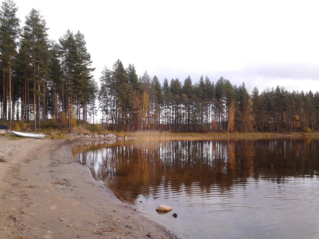 Casa vacanze Kuoreksenniemi & Lakehouse Puumala